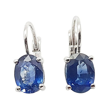 SJ6036 - Blue Sapphire Earrings Set in 18 Karat White Gold Settings