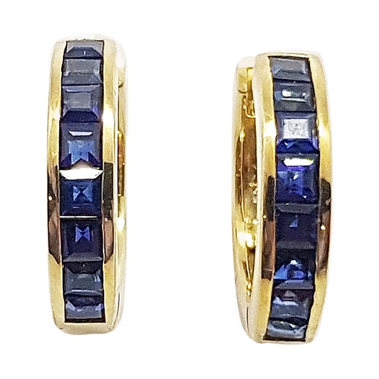 SJ2366 - Blue Sapphire Earrings Set in 18 Karat Gold Settings