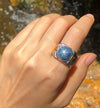 SJ1416 - Blue Star Sapphire Ring Set in 18 Karat White Gold Settings
