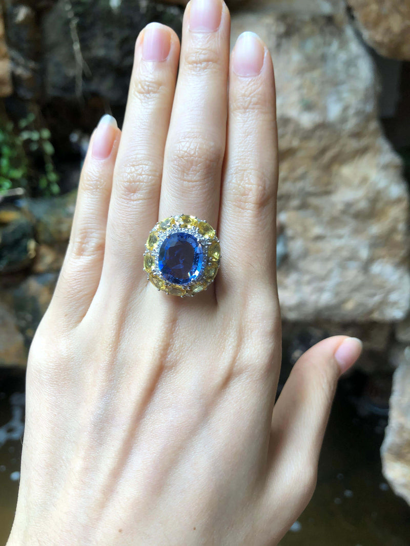 SJ2535 - Blue Sapphire with Yellow Sapphire and Diamond Ring Set in 18 Karat White Gold