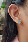 SJ2645 - Blue Star Sapphire Earrings Set in 18 Karat Gold Settings