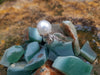 SJ1686 - South Sea Pearl with Brown Diamond and Diamond Ring Set in 18 Karat White Gold