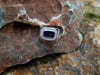 SJ1666 - Blue Sapphire with Diamond Ring Set in 18 Karat White Gold Settings