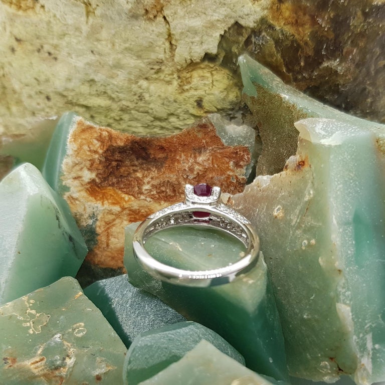 SJ1706 - Ruby with Diamond Ring Set in 18 Karat White Gold Setting