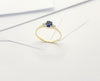 SJ6076 - Blue Sapphire with Diamond Ring Set in 18 Karat Gold Settings