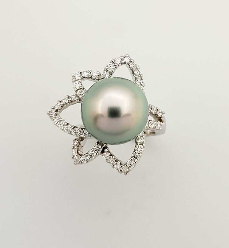 SJ2765 - South Sea Pearl with Diamond 0.37 Carat Ring Set in 18 Karat White Gold Settings