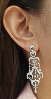 SJ1146 - Diamond Earrings Set in 18 Karat White Gold Settings