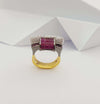 SJ2510 - Ruby with Diamond Ring Set in 18 Karat Gold Settings