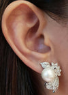 JE13156Z - Pearl & Diamond Earrings Set in 18 Karat White Gold Setting