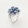 SJ3132 - Blue Star Sapphire with Blue Sapphire Ring Set in 18 Karat White Gold Settings