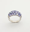 SJ3071 - Tanzanite with Cubic Zirconia Ring set in Silver Settings