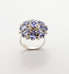 SJ3070 - Tanzanite with Cubic Zirconia Ring set in Silver Settings