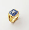 SJ6078 - Blue Sapphire with Diamond Ring Set in 18 Karat Gold Settings