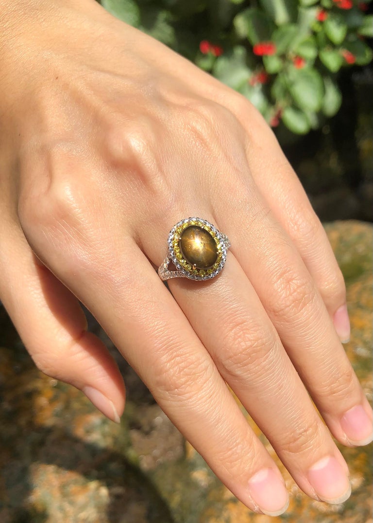 SJ2991 - Golden Star Sapphire, Yellow Sapphire and Diamond Ring in 18 Karat White Gold