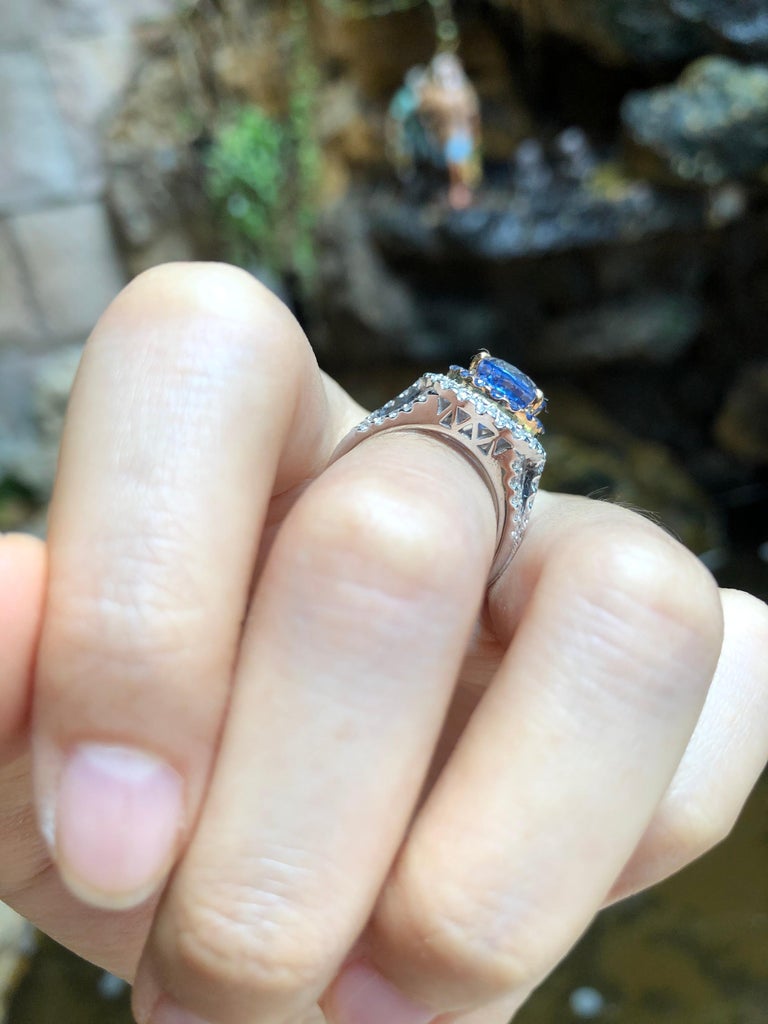 SJ1511 - GIA Certified 5cts Ceylon Blue Sapphire with Diamond Ring Set in 18K White Gold