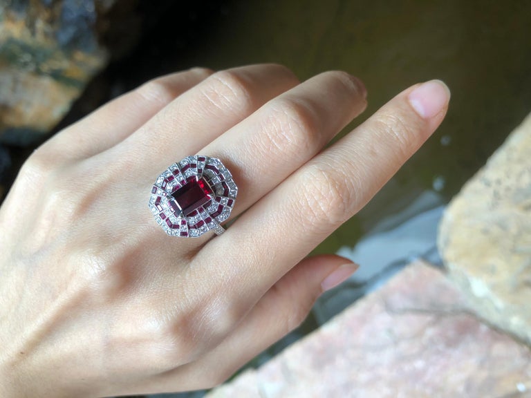 SJ1546 - Ruby with Diamond Ring Set in 18 Karat White Gold Settings