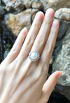 JR1825Y - Pearl with Diamond Ring Set in 18 Karat White Gold Setting