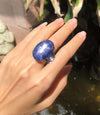 SJ6255 - Blue Star Sapphire, Blue Sapphire Ring in 18 Karat White Gold Settings