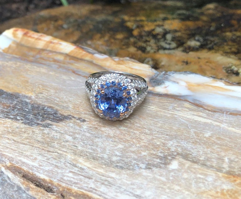 SJ1511 - GIA Certified 5cts Ceylon Blue Sapphire with Diamond Ring Set in 18K White Gold