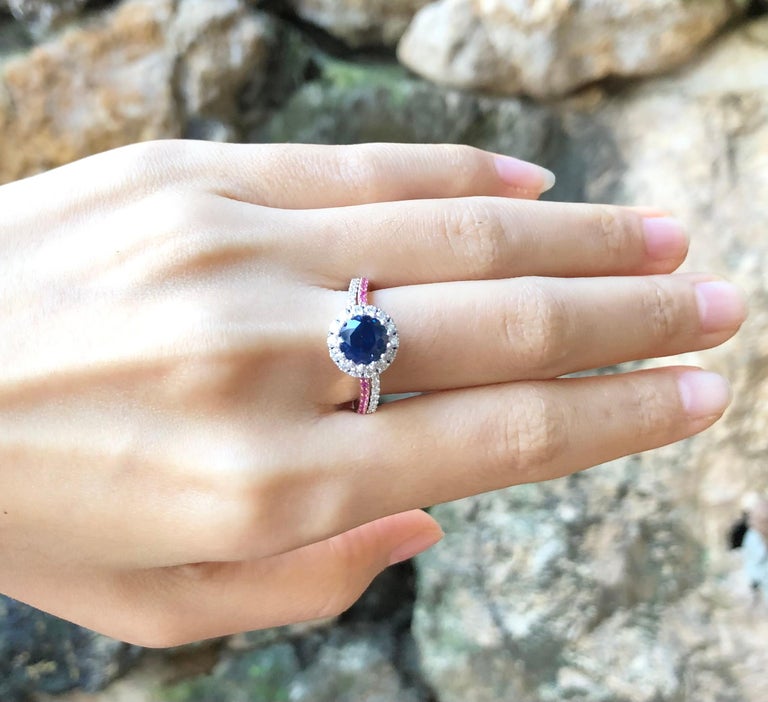 SJ2905 - Blue Sapphire, Pink Sapphire and Diamond Engagement Ring Set in 18K White Gold