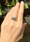 JR1420Y - Blue Star Sapphire Ring Set in 18 Karat Gold Setting