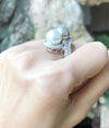 SJ1154 - South Sea Pearl with Diamond Ring Set in 18 Karat White Gold Settings