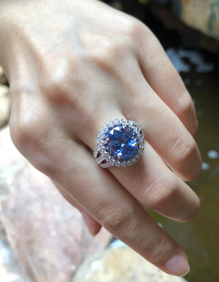 SJ1511 - GIA Certified 5cts Ceylon Blue Sapphire with Diamond Ring Set in 18K White Gold