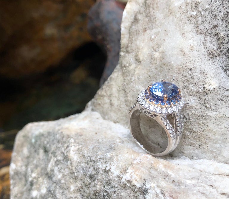 SJ1511 - GIA Certified 5cts Ceylon Blue Sapphire with Diamond Ring Set in 18K White Gold