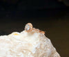 SJ1546 - Light Green Sapphire with Brown Diamond Ring Set in 18 Karat Rose Gold Settings