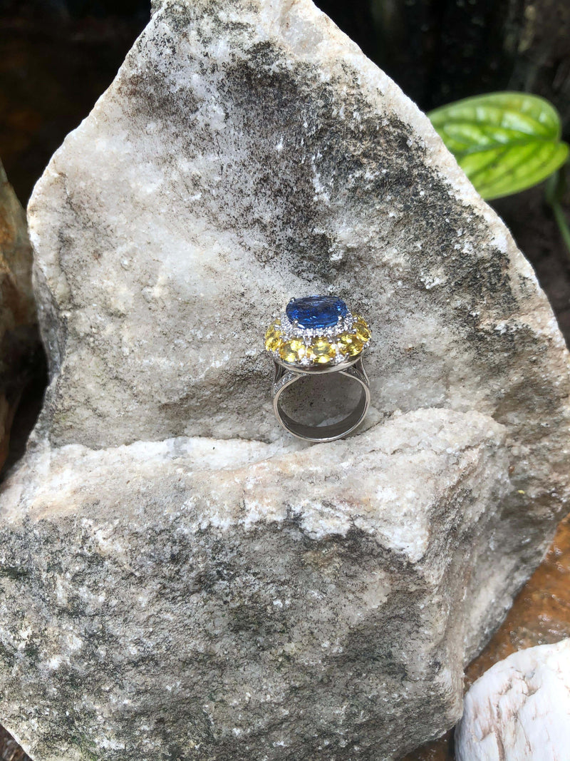 SJ2535 - Blue Sapphire with Yellow Sapphire and Diamond Ring Set in 18 Karat White Gold