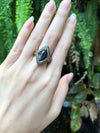 SJ6097 - Blue Sapphire with Green Sapphire Ring Set in 18 Karat Gold Settings