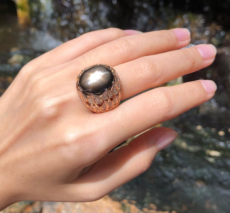SJ1847 - Black Star Sapphire with Brown Diamond Ring Set in 18 Karat Rose Gold Settings