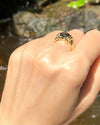 SJ2845 - Black Star Sapphire Ring Set in 18 Karat Gold Settings