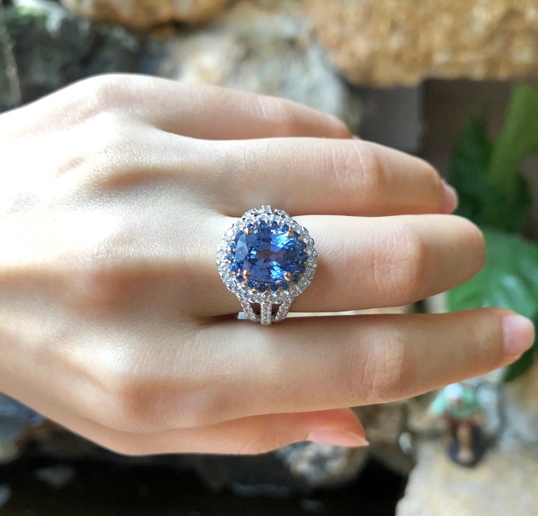 SJ1511 - GIA Certified 5cts Ceylon Blue Sapphire with Diamond Ring Set in 18K White Gold