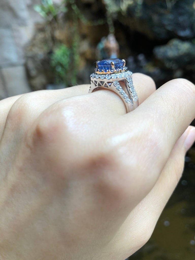 SJ1511 - GIA Certified 5cts Ceylon Blue Sapphire with Diamond Ring Set in 18K White Gold