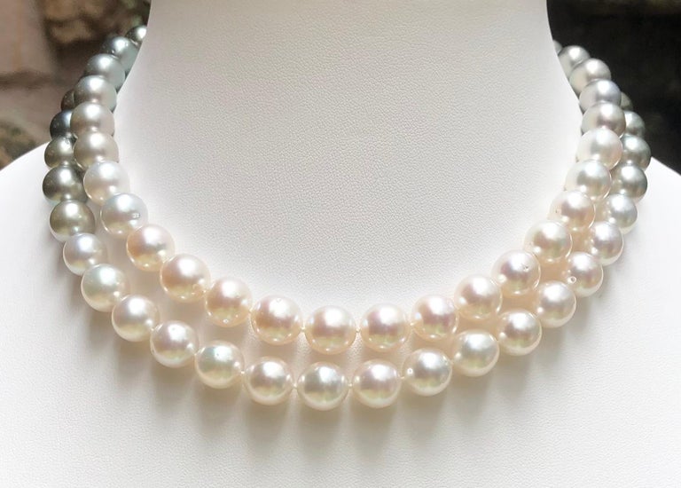 SJ1390 - Gradutated Color South Sea Pearl Necklace with Hidden 18K White Gold Clasp