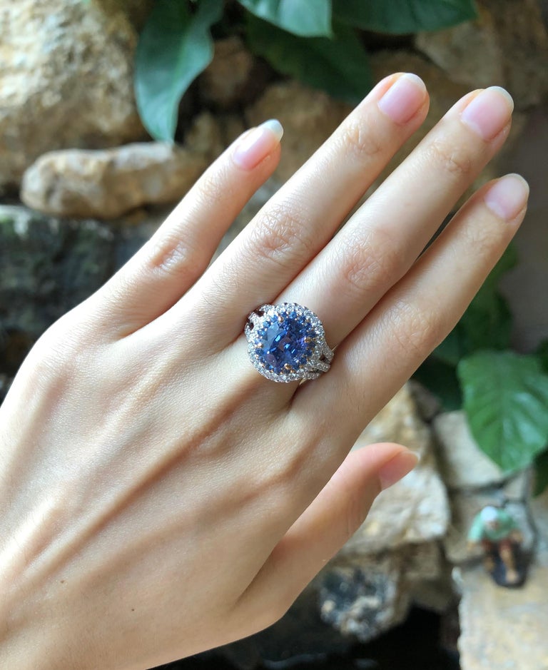 SJ1511 - GIA Certified 5cts Ceylon Blue Sapphire with Diamond Ring Set in 18K White Gold