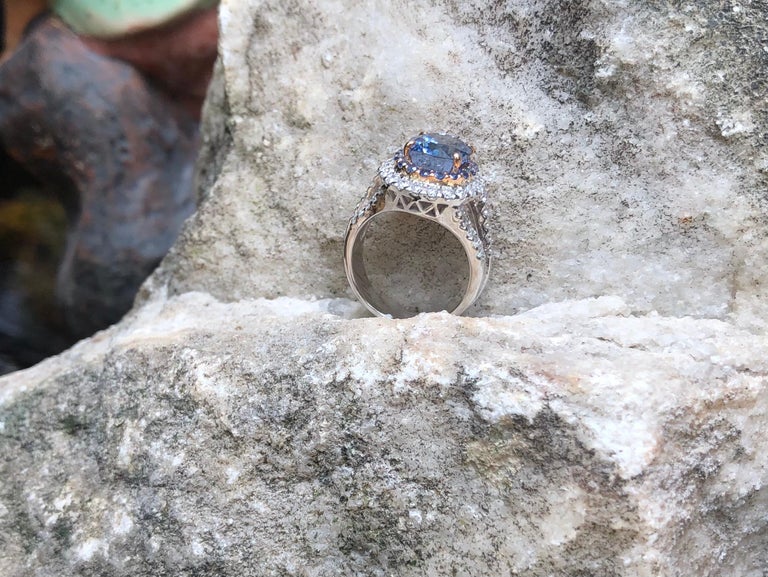 SJ1511 - GIA Certified 5cts Ceylon Blue Sapphire with Diamond Ring Set in 18K White Gold