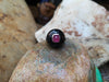 SJ6297 - Cabochon Ruby with Onyx Ring Set in 18 Karat White Gold Settings