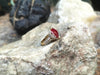 SJ2046 - Ruby with Diamond Ring Set in 18 Karat Gold Settings