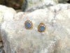 SJ2645 - Blue Star Sapphire Earrings Set in 18 Karat Gold Settings