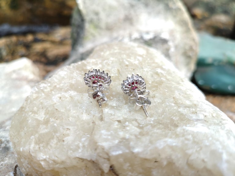 SJ2605 - Ruby with Diamond Earrings Set in 18 Karat White Gold Settings