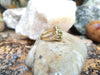 SJ6214 - Peridot with Diamond Ring Set in 18 Karat Gold Settings