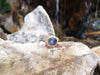 SJ1653 - Blue Star Sapphire with Diamond Ring Set in 18 Karat Gold Settings