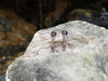 SJ6262 - Pink Sapphire with Diamond Dangling Earrings Set in 18 Karat White Gold Settings