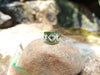 SJ2029 - Tsavorite with Diamond Ring Set in 18 Karat Gold Settings