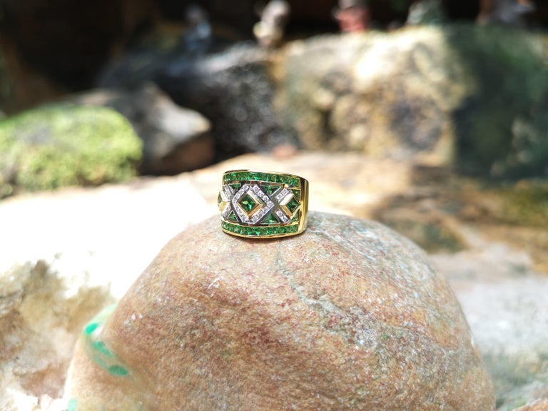 SJ2029 - Tsavorite with Diamond Ring Set in 18 Karat Gold Settings