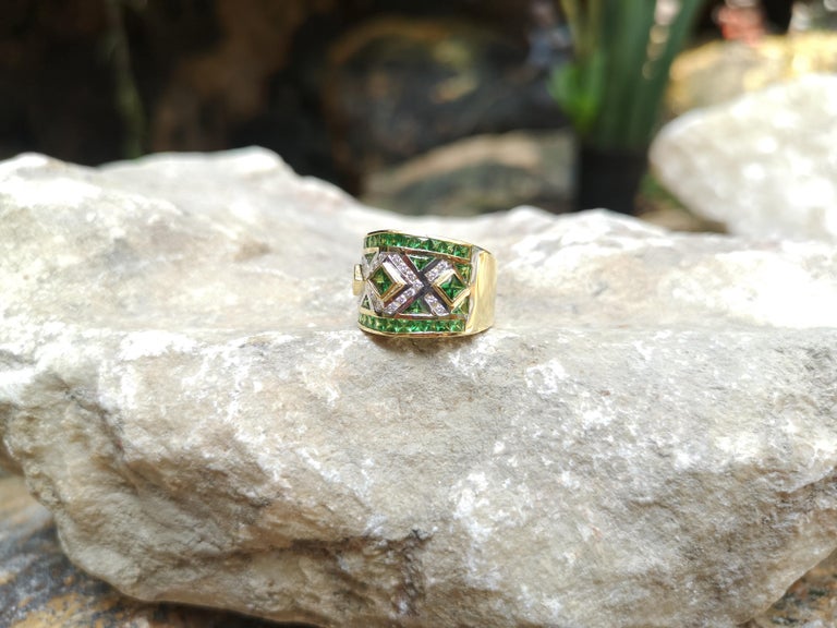 SJ2029 - Tsavorite with Diamond Ring Set in 18 Karat Gold Settings