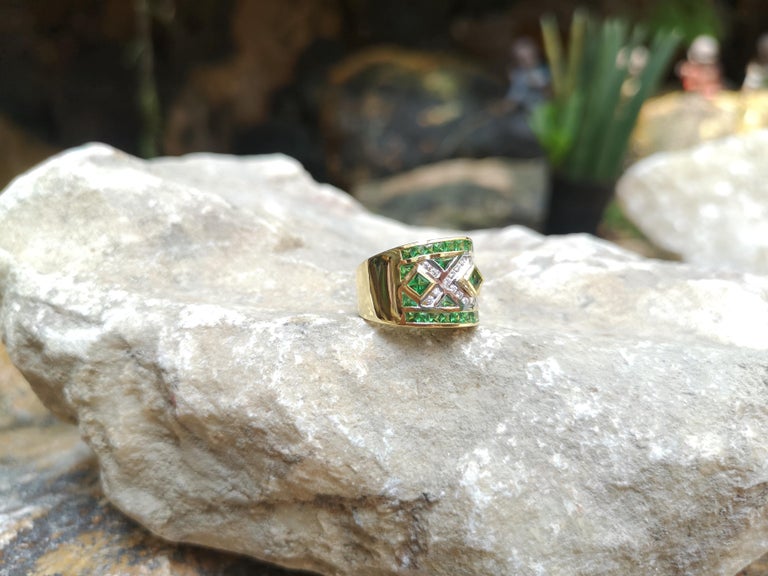 SJ2029 - Tsavorite with Diamond Ring Set in 18 Karat Gold Settings