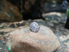 SJ1646 - Diamond Ring set in 18 Karat White Gold Settings